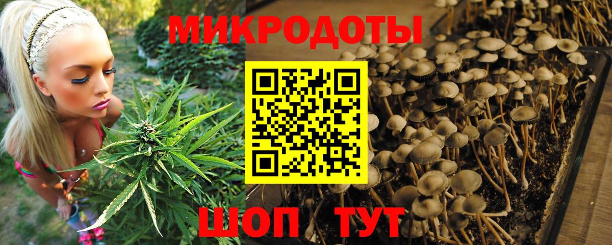 Псилоцибиновые грибы Psilocybe  Вход с VPN  Киров 